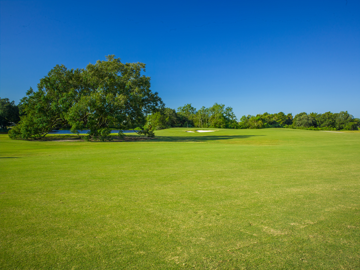 Gallery Bayou Oaks at City Park North Course